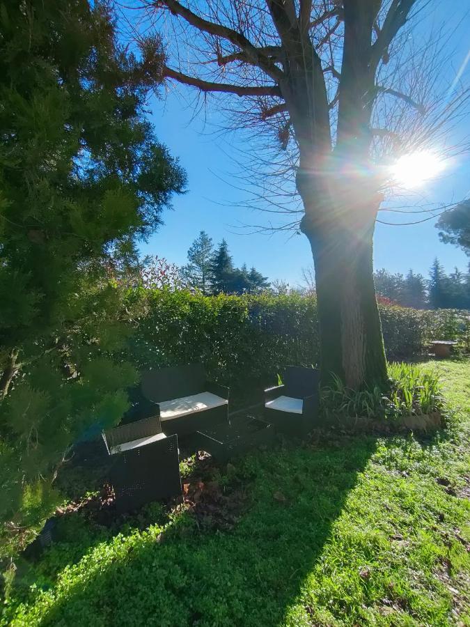 Il Tiglio B&B Dozza Kültér fotó